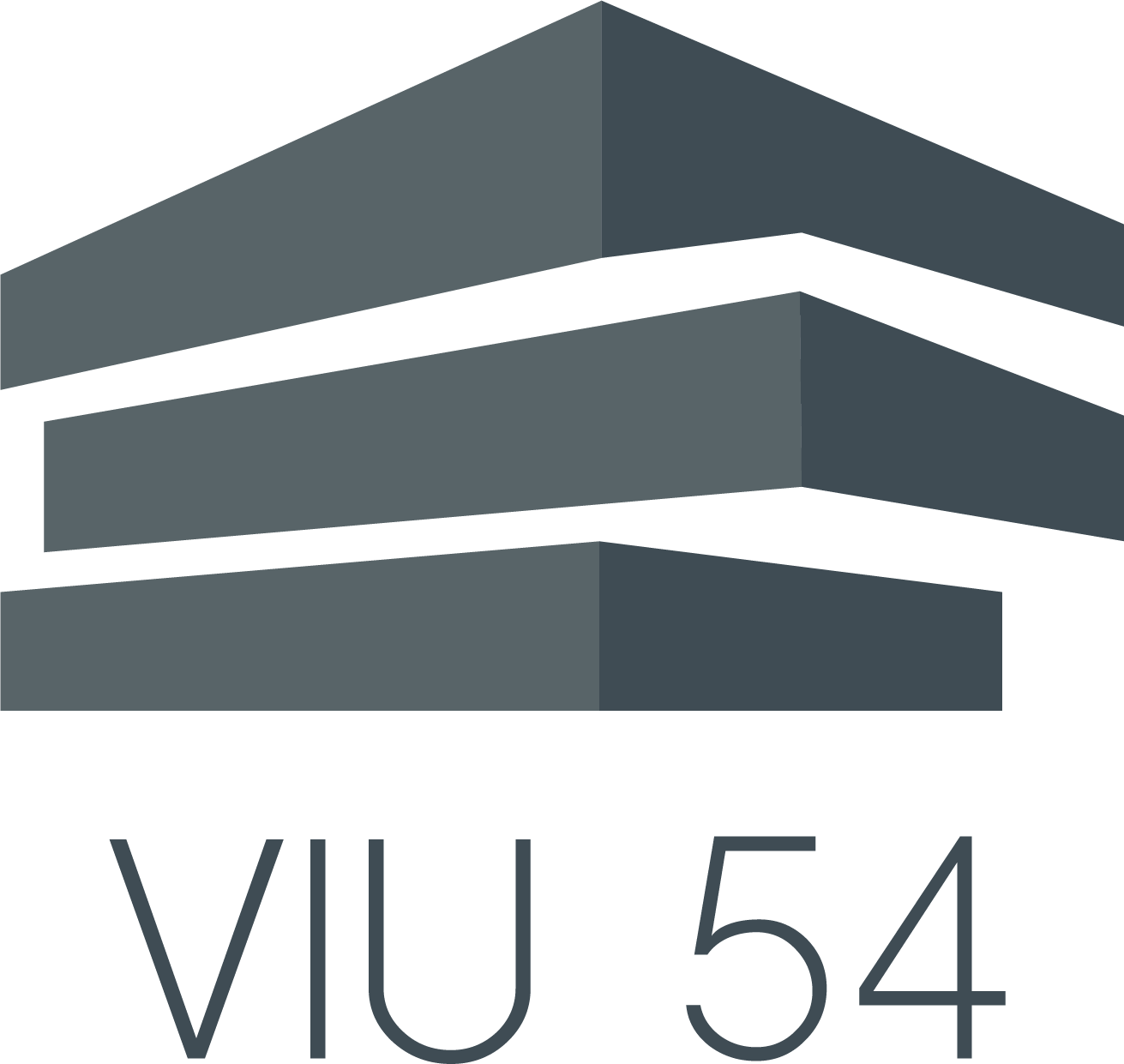 VIU CAPITAL